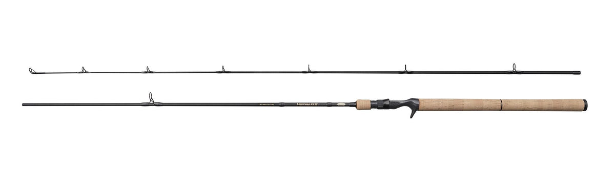 Berkley Lightning HT II Casting Rod – 1590397.jpg