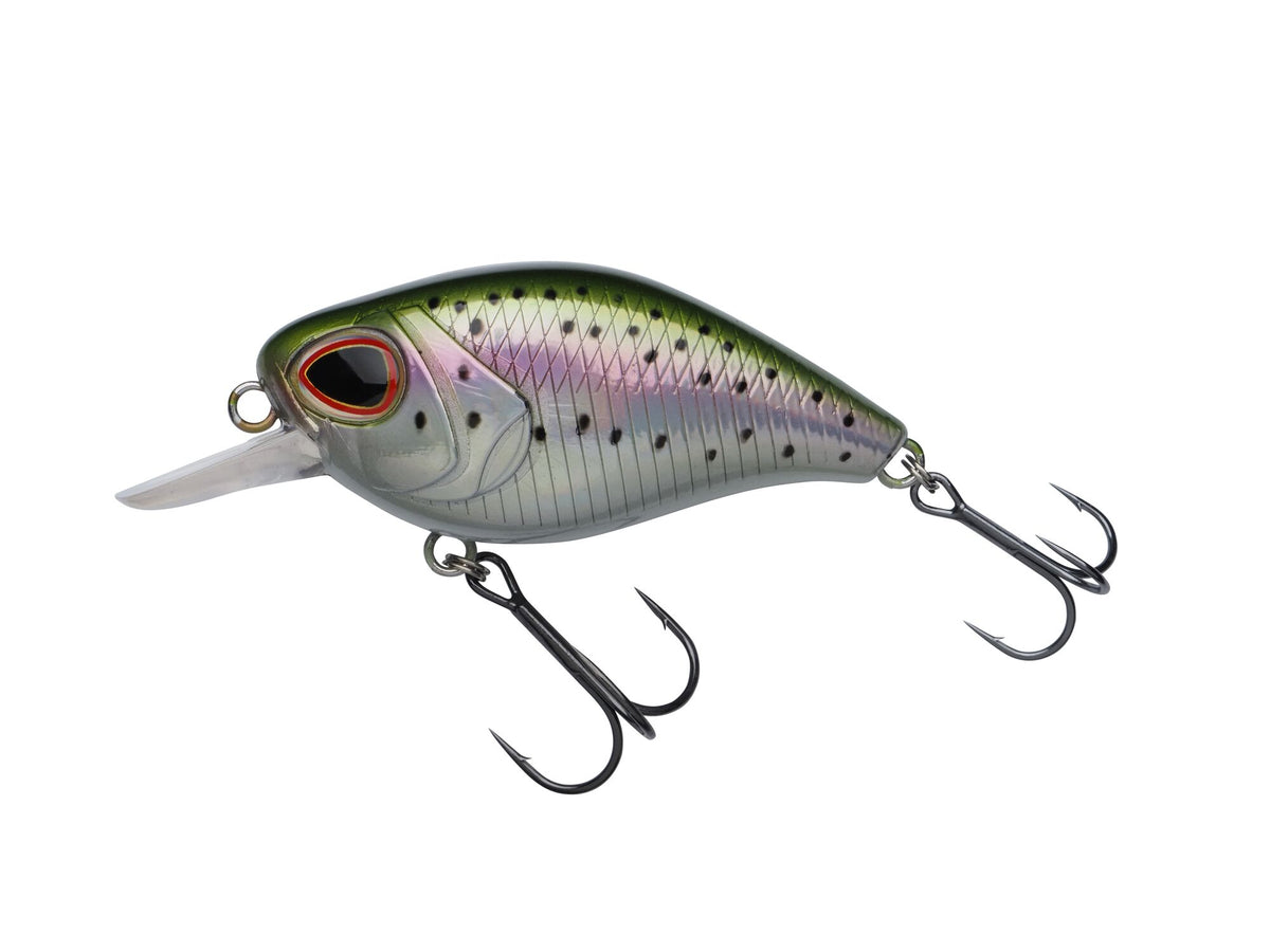Berkley DEX Thumper – 1621010.jpg