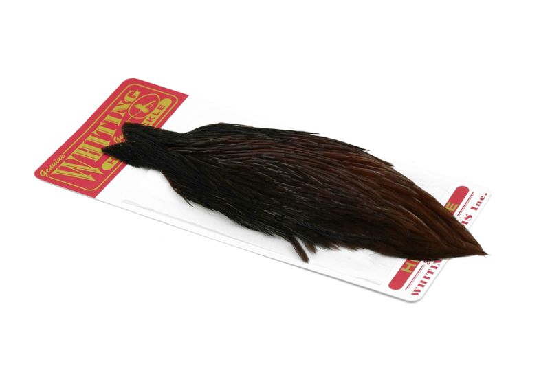Whiting Hen Cape – dealerweb-cms-0491280a-983d-4b4c-8bb9-03ff8fcb27d1.jpg