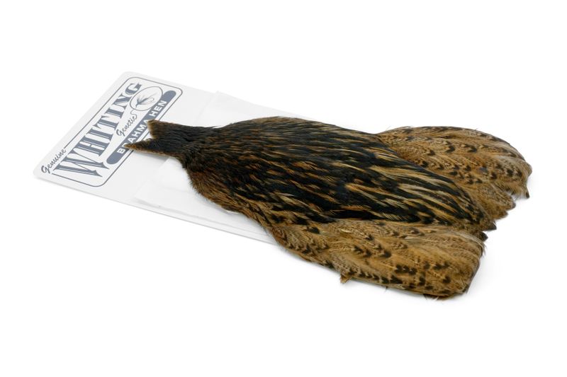 Whiting Brahma Hen Cape – dealerweb-cms-636ce3fb-5f96-41cc-b606-08261b435913.jpg