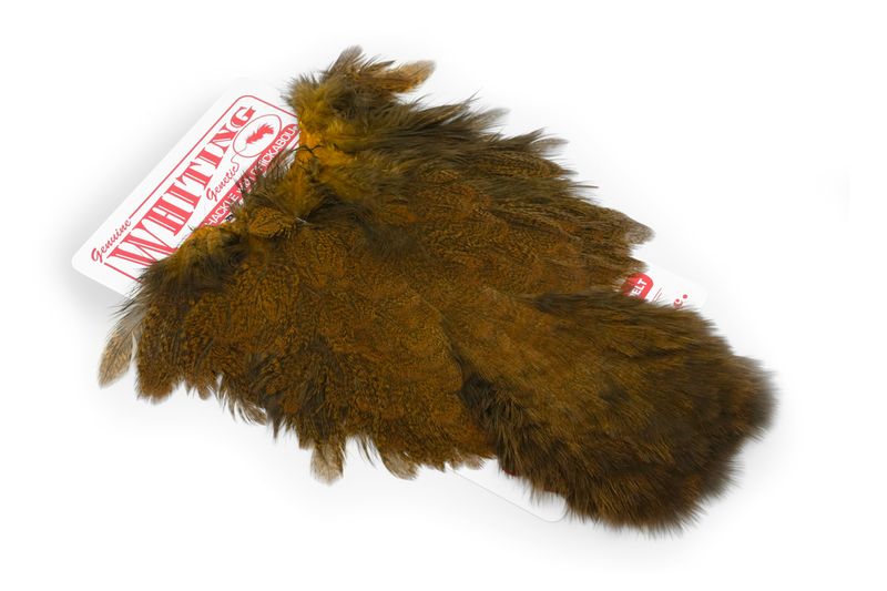 Whiting Coq De Leon Hen SH/C – dealerweb-cms-f63ad2fe-a6c6-48cf-9367-abc135294fc3.jpg