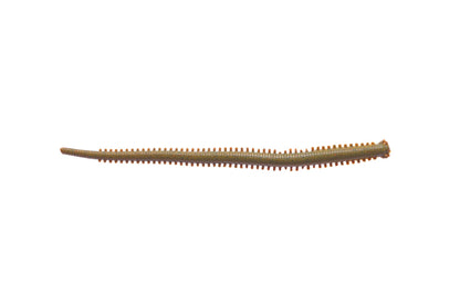 Berkley Gulp!® Saltwater Isome Futomi â€“ 1522985.jpg