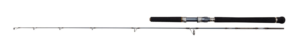 PENN Battalion Solid Jigging Spinning Rod â€“ 1611643.jpg