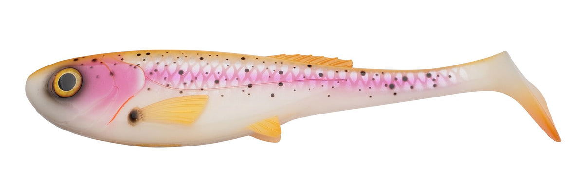 Abu Garcia Beast Slim Paddletail â€“ 1621279.jpg