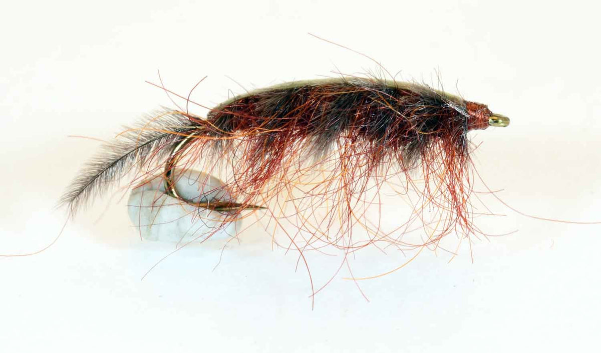 Gammariden Brown Kystflue