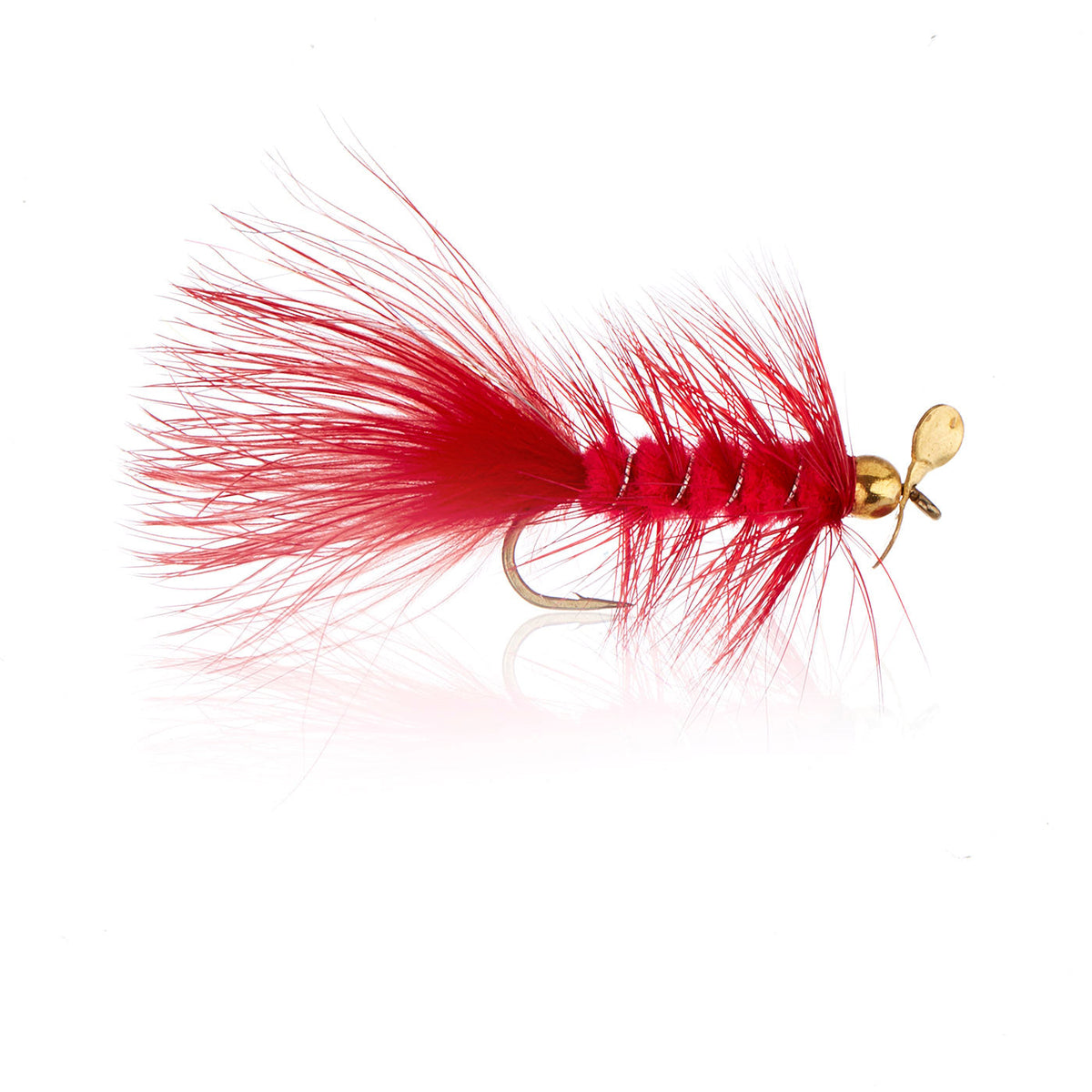 AJF-200320.jpg