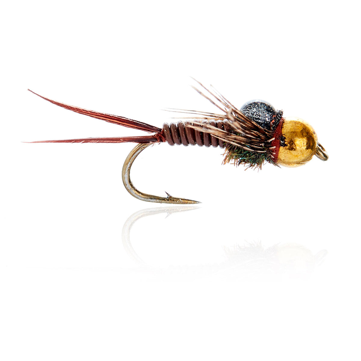 AJF_400223.jpg