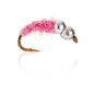 AJF_400322.jpg