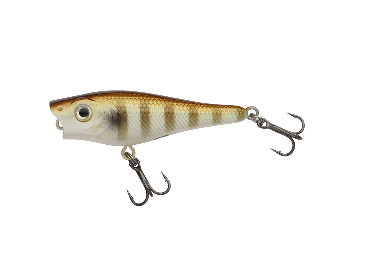 Berkley Pulse Pop â€“ BerkleyPulsePop_1571725.jpg