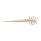 Berkley PowerBait® Swordtail â€“ Berkley_PowerBaitSwordtail_PearlWhite_alt1.jpg