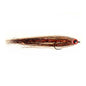 A. Jensen Flash Fly #5/0 Geddeflue