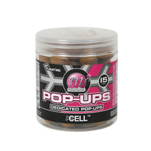 Mainline Pop-Ups Cell