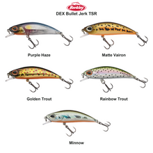 Farveoversigt – Berkley DEX Bullet Jerk TSR