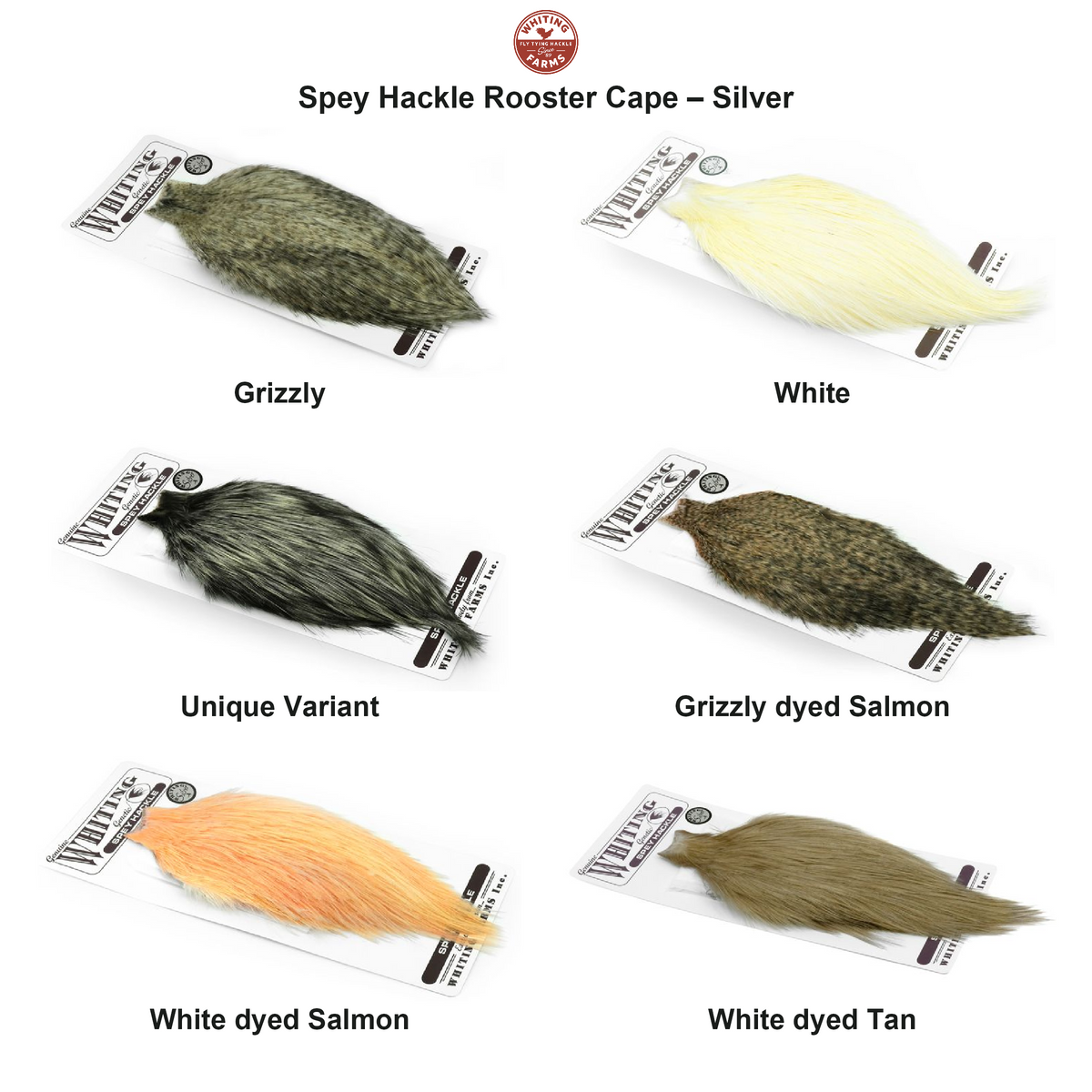 Farveoversigt – Whiting Spey Hackle Rooster Cape – Silver