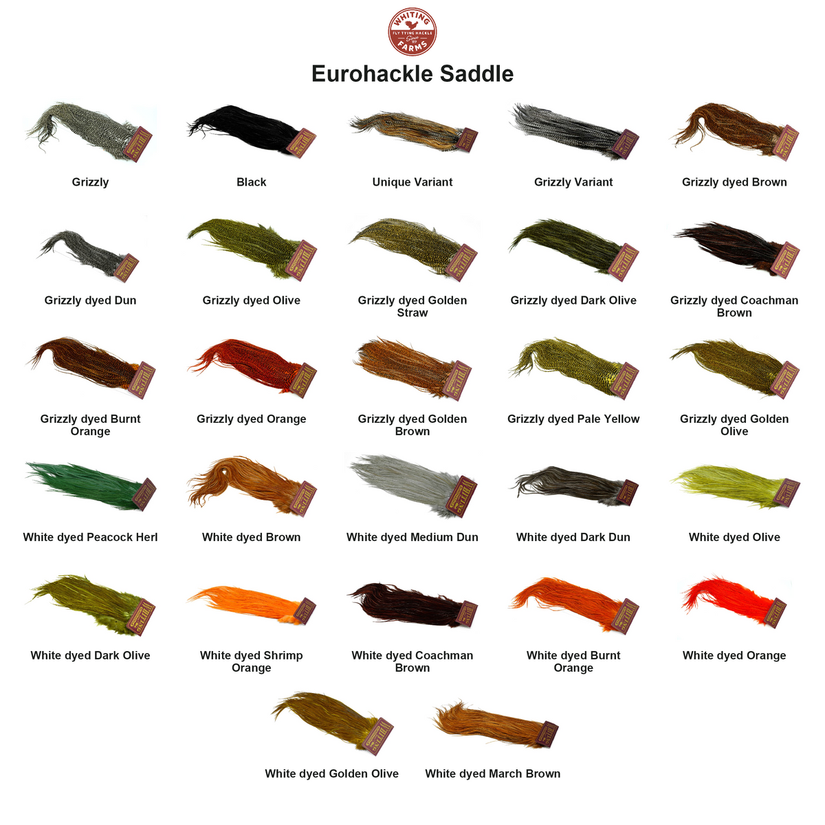 Farveoversigt – Whiting Eurohackle Saddle
