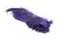 Whiting Bird Fur â€“ dealerweb-cms-040fbd95-ce54-4050-86c6-61e0264fdb6a.jpg