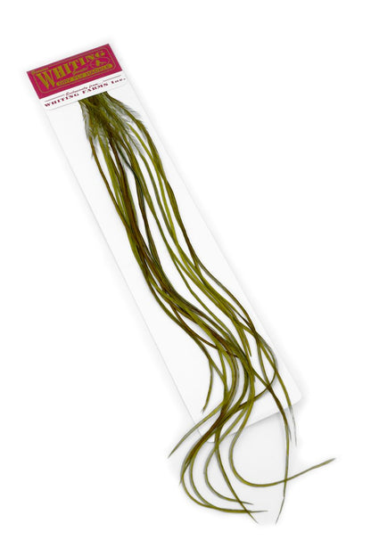 Whiting 100-pk – Size 12 â€“ dealerweb-cms-0f4826c9-21fe-411a-a2a9-4dac7c23319f.jpg
