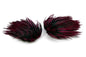 Whiting American Streamer Pack â€“ dealerweb-cms-182ca290-cbf1-4c5a-a527-eda20e379ac9.jpg