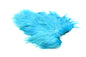 Whiting American Hen SH/C â€“ dealerweb-cms-1f5faeb1-0183-4dcf-ae3b-1a59ae1a3148.jpg