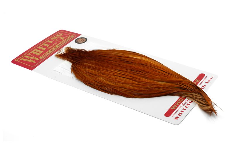 Whiting Rooster Cape – Bronze â€“ dealerweb-cms-1fc8e514-7c90-4321-b1e6-0a3c65045133.jpg