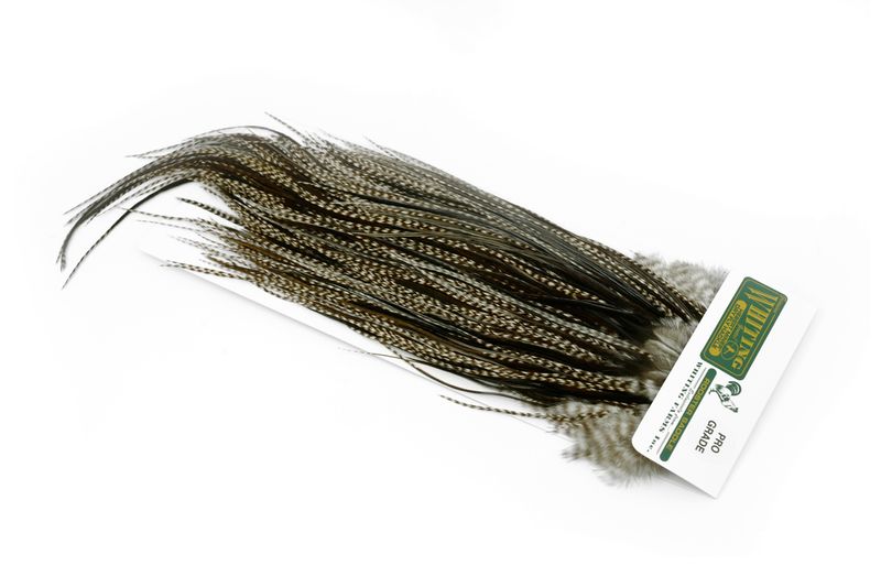 Whiting Hebert Rooster Saddle – Pro Grade â€“ dealerweb-cms-241e300e-f501-460b-ac64-7327d17eaf46.jpg