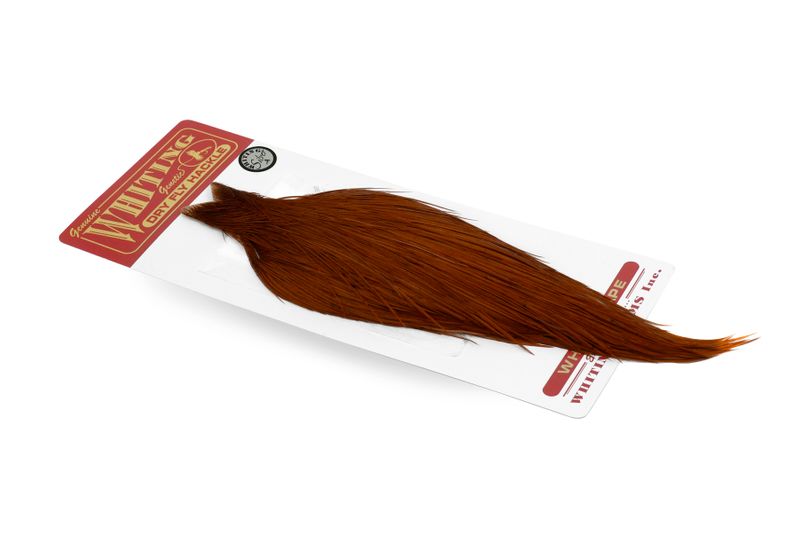 Whiting Rooster Cape – Silver â€“ dealerweb-cms-2e72eadc-c4fb-40f8-a77e-721258ddac75.jpg