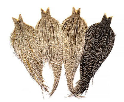 Whiting Heritage Rooster Cape â€“ dealerweb-cms-330d865d-9a7d-44a8-b0d9-89128c91bdbf.jpg