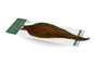 Whiting Hebert Rooster Cape – Pro Grade â€“ dealerweb-cms-339931e2-7675-437a-b4d9-dc09be6b3d19.jpg