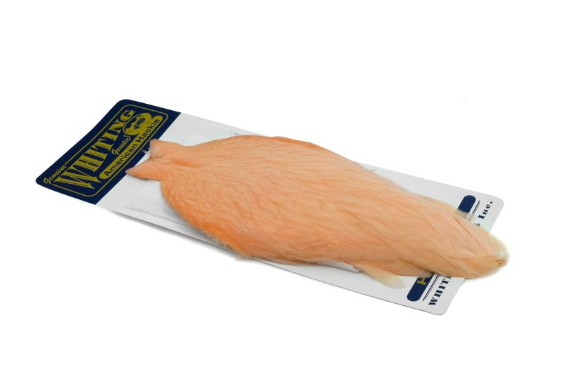 Whiting American Hen Cape â€“ dealerweb-cms-36b7f725-eeaa-4e1f-830e-d4645a0e3364.jpg