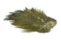 Whiting 4 B's Rooster Saddle â€“ dealerweb-cms-380658ce-3626-4d58-beb3-4349e249074d.jpg