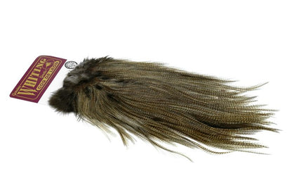 Whiting Coq de Leon Rooster Saddle – Silver â€“ dealerweb-cms-5b0aafe3-3333-4ae8-9ad0-eef98430d566.jpg
