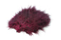 Whiting Super 'Bou â€“ dealerweb-cms-5c02a3e8-800d-4401-a0cd-5c79f454c441.jpg