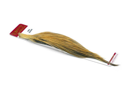 Whiting Pro Grade 1/2 Cape â€“ dealerweb-cms-623d6704-baa6-41eb-80d1-4f4e912e196f.jpg