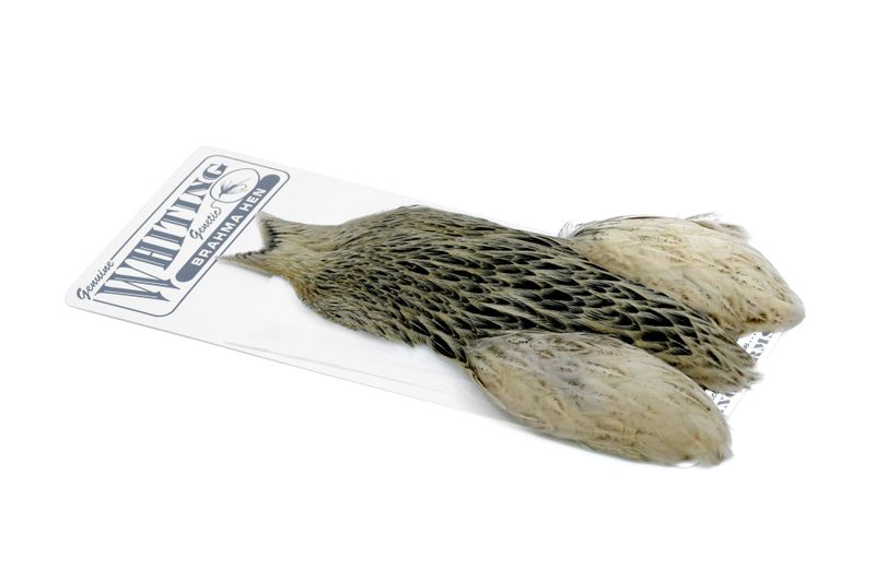 Whiting Brahma Hen Cape â€“ dealerweb-cms-6dcd9cf6-787c-48e5-909b-43d7a6e3b395.jpg