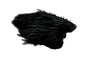Whiting American Hen SH/C â€“ dealerweb-cms-6f000638-20e7-47a8-bc7e-a4ffdc0ca5ec.jpg