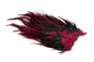 Whiting 4 B's Rooster Saddle â€“ dealerweb-cms-7179027c-d82e-46cb-bb4e-ad2cb71b95e4.jpg