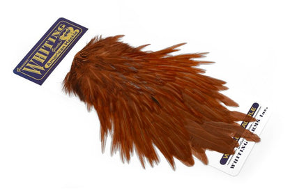 Whiting American Rooster Saddle â€“ dealerweb-cms-73e48006-721e-47da-9e87-f3d08a7d974d.jpg