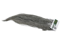 Whiting Hebert Rooster Saddle – Silver â€“ dealerweb-cms-7a9ee8ca-a16e-4c1b-979b-2738369fce4f.jpg