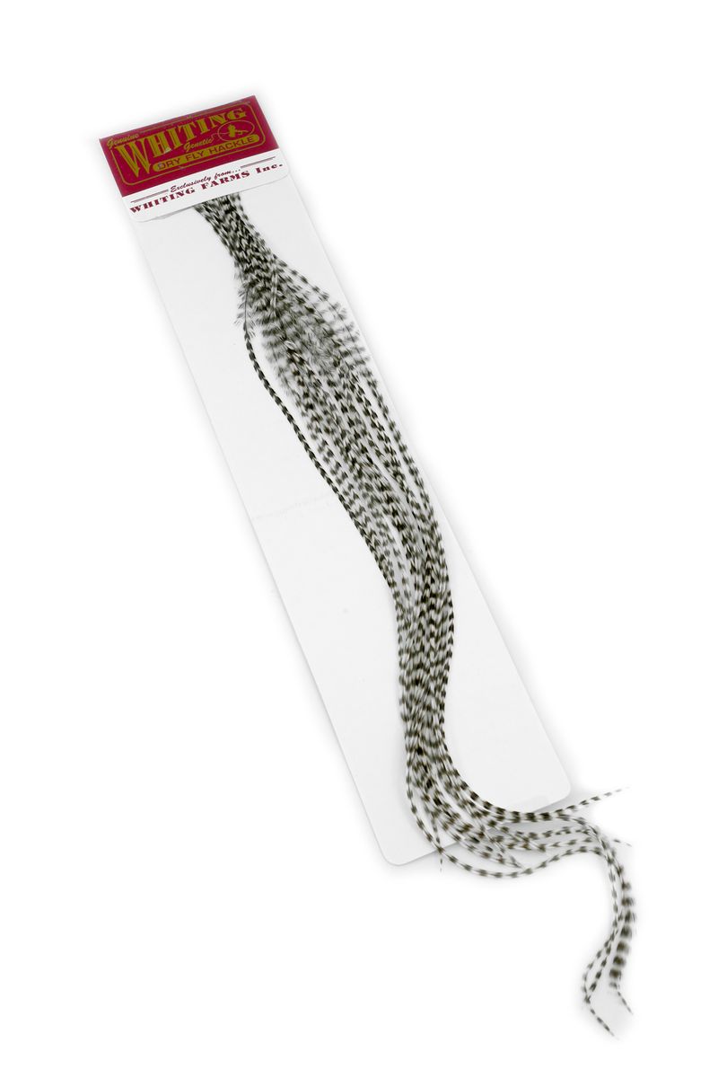 Whiting 100-pk – Size 6 â€“ dealerweb-cms-7d0f5887-a856-45d9-94fb-a7f22a2701b9.jpg