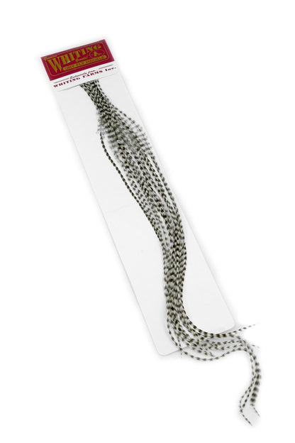 Whiting 100-pk – Size 22 â€“ dealerweb-cms-7d0f5887-a856-45d9-94fb-a7f22a2701b9.jpg