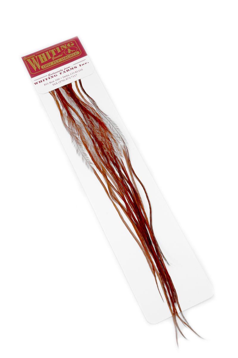 Whiting 100-pk – Size 16 â€“ dealerweb-cms-82af297a-1a45-45f6-a0fd-a22db55c8227.jpg