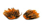 Whiting American Streamer Pack â€“ dealerweb-cms-839a2eb6-9085-4882-a220-644b77d8a06b.jpg