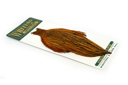 Whiting Hebert Hen Cape â€“ dealerweb-cms-910d5a01-d196-4fc1-baa2-ba7b344cae3b.jpg