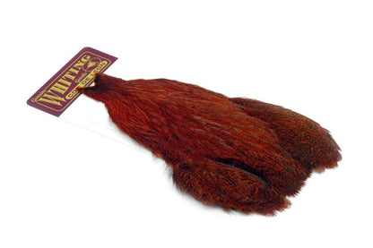 Whiting Coq de Leon Hen Cape â€“ dealerweb-cms-9f685273-cd03-4054-ba2f-530c6b3bb63b.jpg