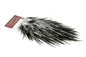 Whiting Coq de Leon Rooster Saddle – Gold â€“ dealerweb-cms-9febd961-2c45-4d10-9626-f0041db029bc.jpg