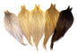 Whiting Heritage Rooster Cape â€“ dealerweb-cms-a0d0a7d5-302a-4ada-ad3e-d72d3722a7c5.jpg