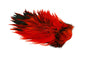 Whiting Brahma Rooster Saddle â€“ dealerweb-cms-abbf250d-461c-44d4-b3c4-3af88ae3640f.jpg