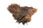 Whiting American Hen SH/C â€“ dealerweb-cms-bea9b449-e01e-4957-8db9-d998c7957fd7.jpg