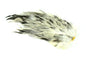 Whiting 4 B's Rooster Saddle â€“ dealerweb-cms-d3aeec40-b98e-43ec-ac94-96361a628ea9.jpg