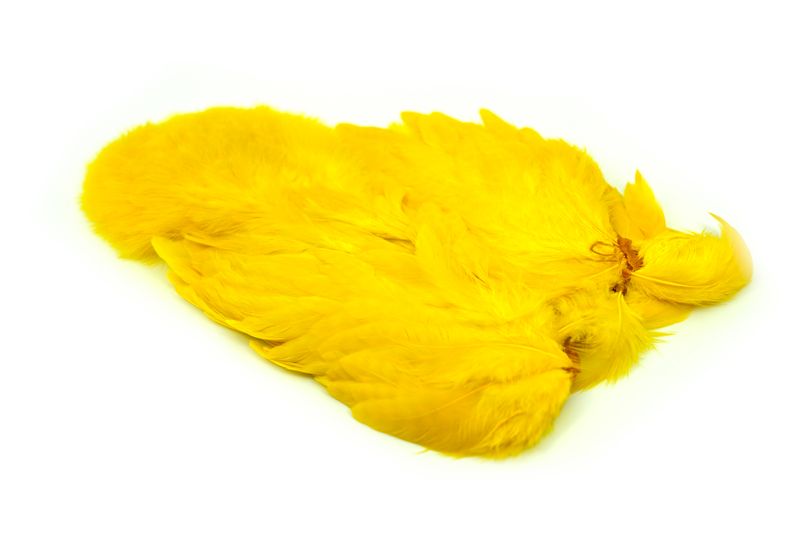 Whiting American Hen SH/C â€“ dealerweb-cms-df718351-3ffc-470d-bc6a-deec2f36dfdd.jpg